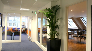 helkinvacanzestudio viaggistudioadulti standard londraeuston 1