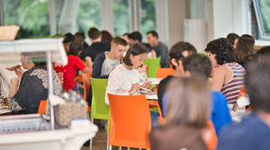 helkinvacanzestudio viaggistudioadulti standard dublinoatlas 5