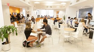 helkinvacanzestudio viaggistudioadulti standard newyork 3