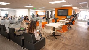 helkinvacanzestudio viaggistudioadulti standard sandiego 5