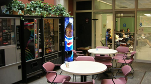 helkinvacanzestudio viaggistudioadulti standard sanfrancisco 4