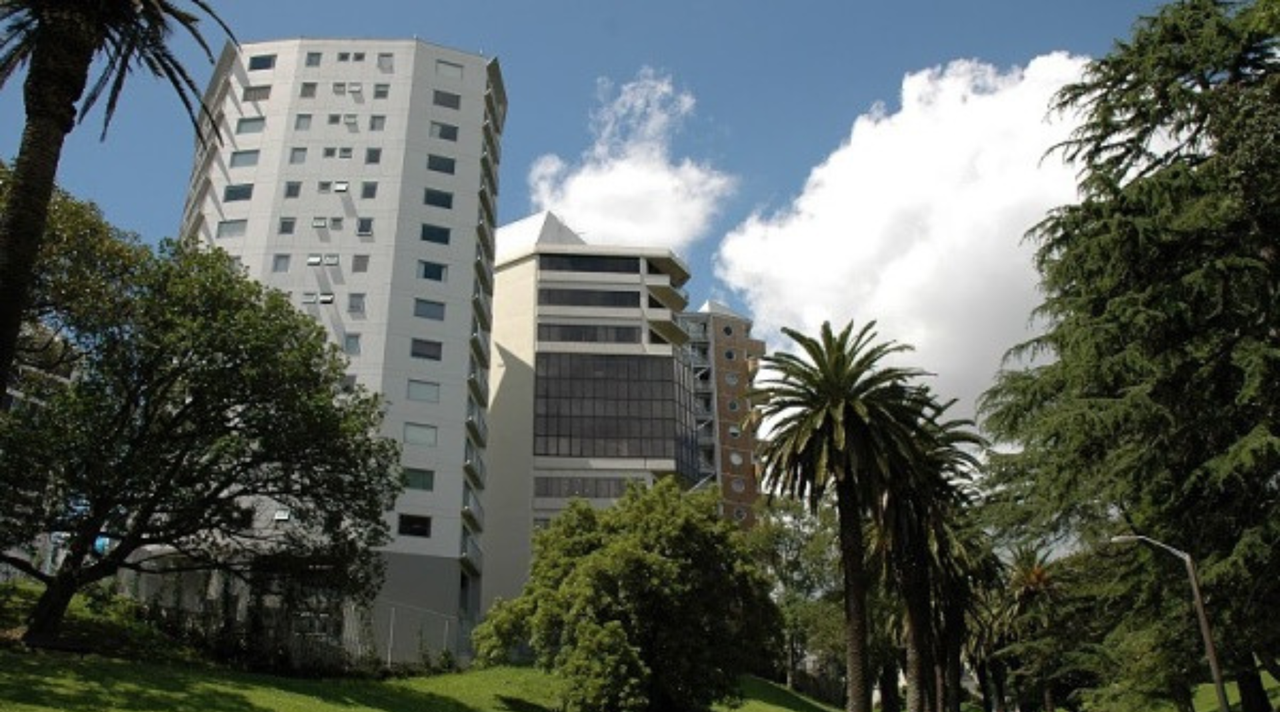 helkinvacanzestudio viaggistudioadulti standard auckland 1