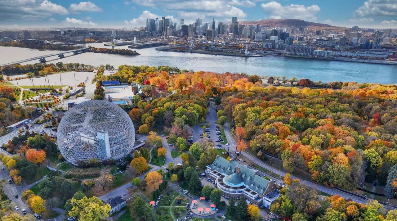 helkinvacanzestudio viaggistudioadulti standard montreal 5