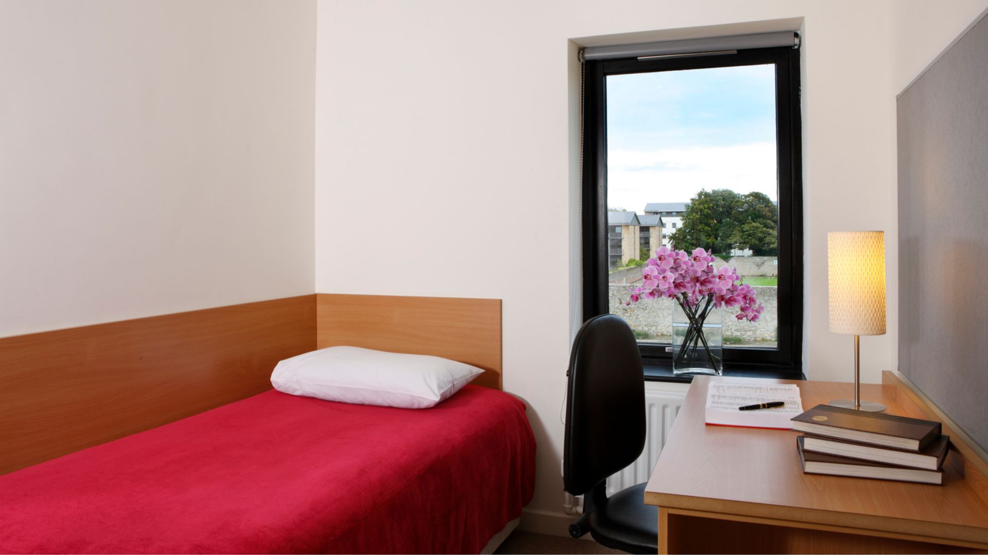 helkinvacanzestudio vacanzastudiogruppo dublinoucd 2