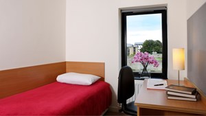 helkinvacanzestudio vacanzastudiogruppo dublinoucd 2