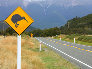 helkinvacanzestudio viaggistudioadulti onetoone nuovazelanda5