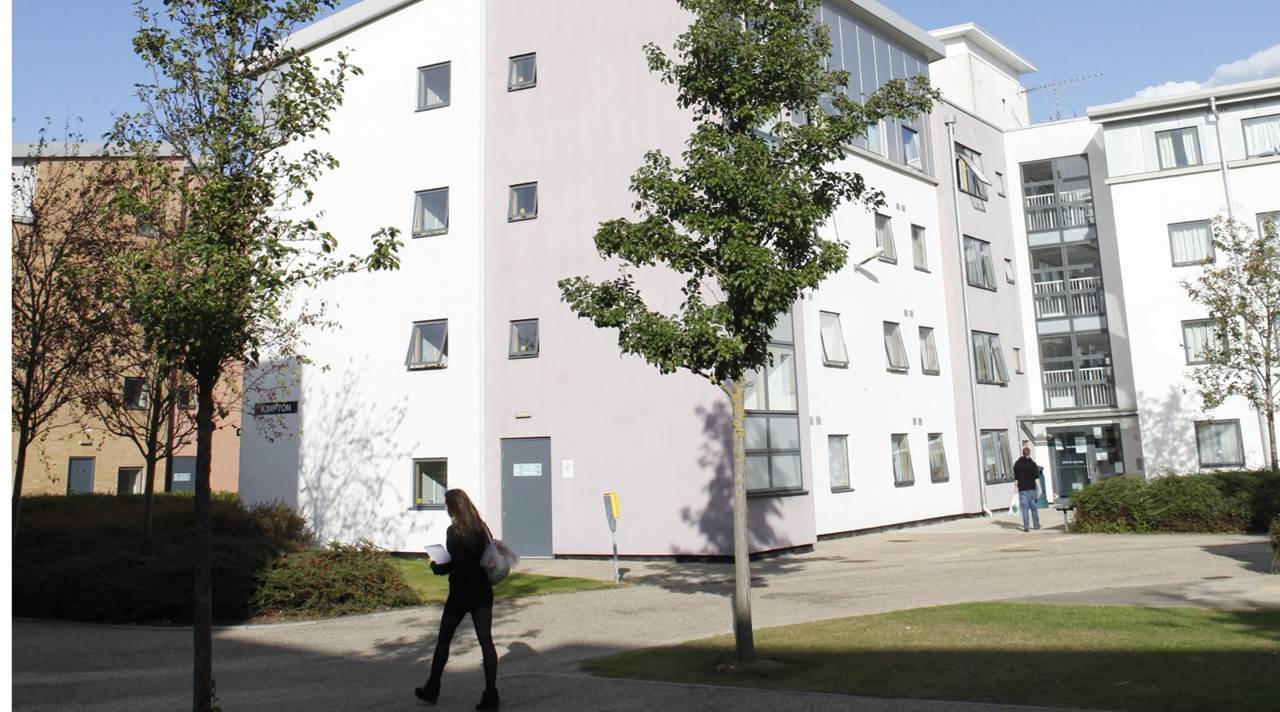 helkinvacanzestudio vacanzastudiogruppo londrahatfield 6