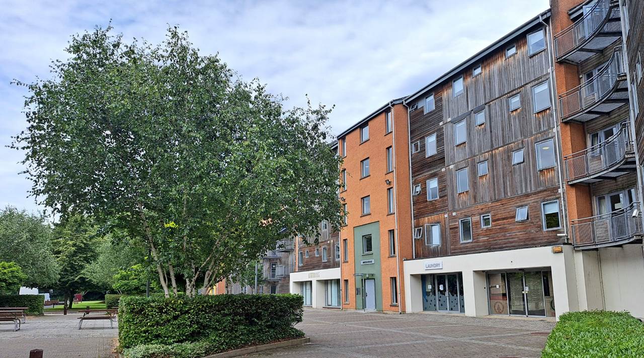 helkinvacanzestudio vacanzastudiogruppo limerick 2