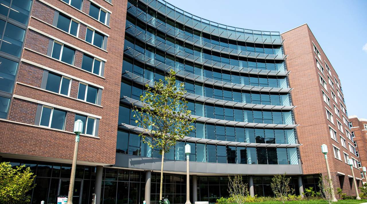 helkinvacanzestudio vacanzastudiogruppo chicago 6