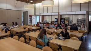 helkinvacanzestudio vacanzastudiogruppo nottingham 5