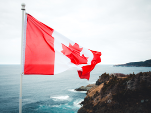 helkinvacanzestudio hspmini canada