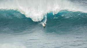 helkinvacanzestudio vacanzestudio hawaii