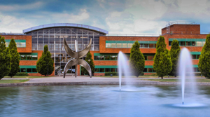 helkinvacanzestudio vacanzestudio limerick