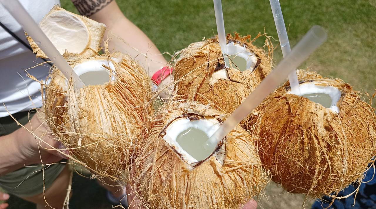 helkinvacanzestudio vacanzastudiogruppo hawaii 2