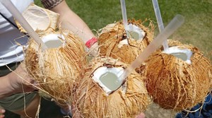 helkinvacanzestudio vacanzastudiogruppo hawaii 2