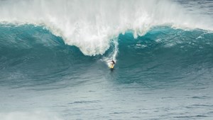 helkinvacanzestudio vacanzastudiogruppo hawaii 3