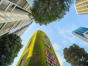 helkinvacanzestudio chisiamo manifesto