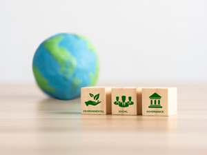 helkinvacanzestudio chisiamo certificazioni 2