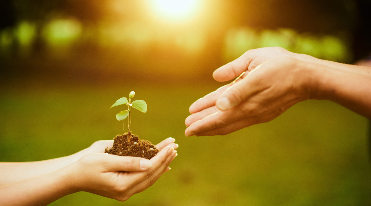 helkinvacanzestudio certificazioni 1