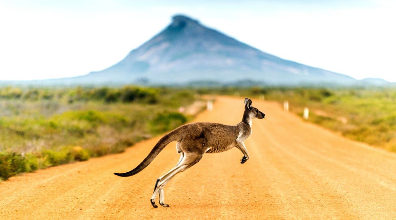 helkinvacanzestudio destinazioni australia