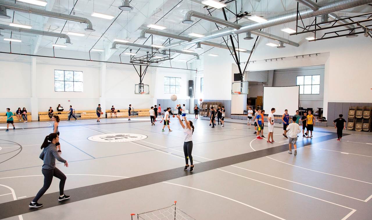 cats boston sports hall 2