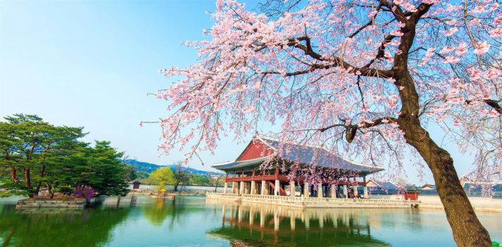 corea del sudjpg