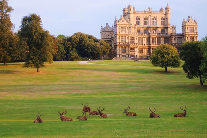 Escursione mezza giornata a Wollaton Hall