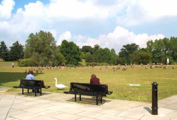 giardino
