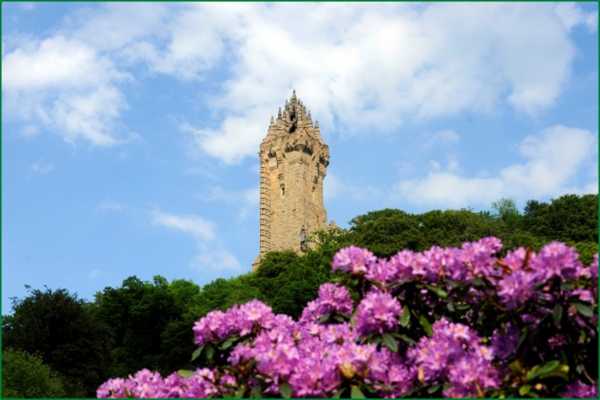 Escursione di mezza giornata al Wallace Monument