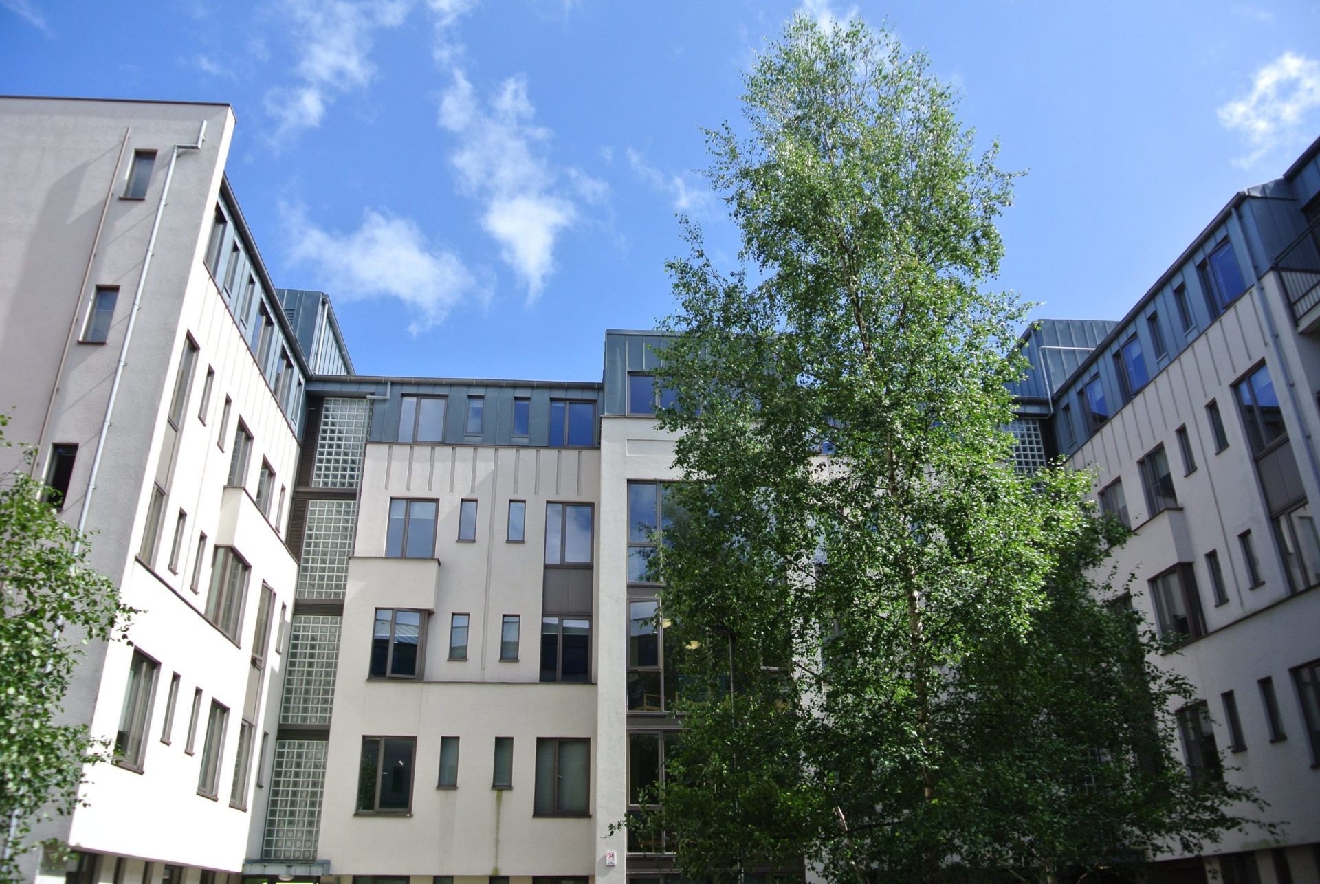Trinity hall