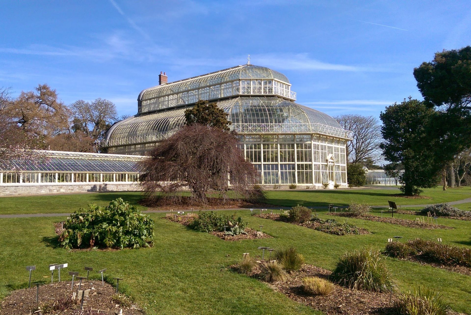 Escursione intera giornata Dublin tourist trail e National Botanic Garden