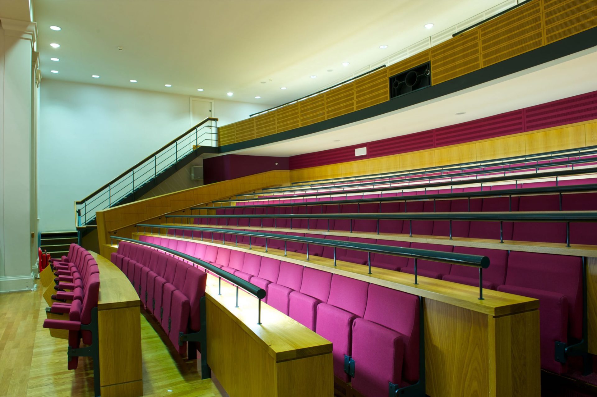 Safra Lecture king