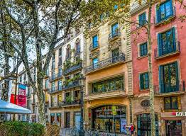 Tour del barrio gotico