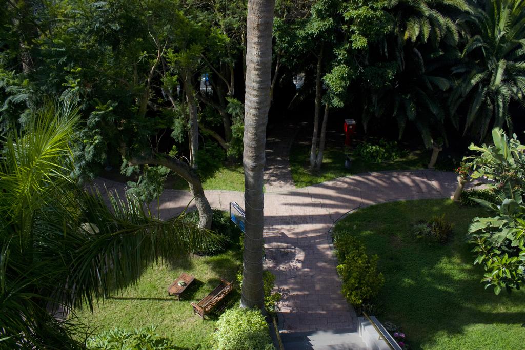 GIARDINO