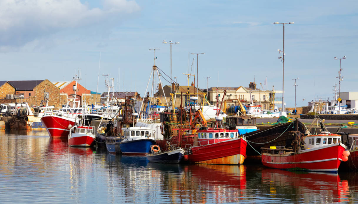 Escursione intera giornata a Howth