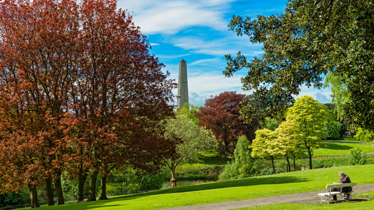 Escursione intera giornata al phoenix park