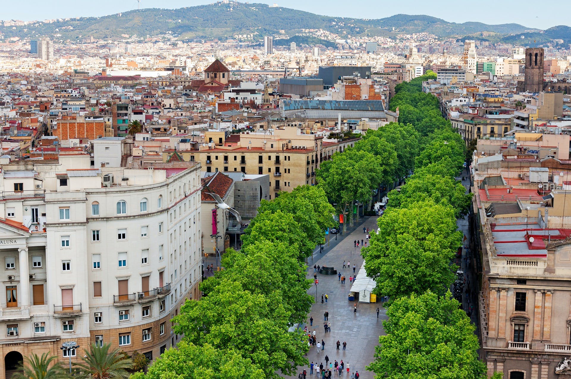 Barcellona city tour