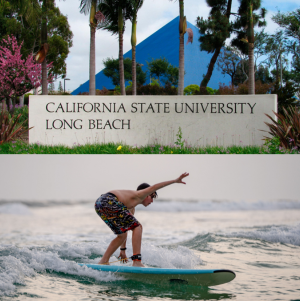 STATI UNITI - CALIFORNIA - SURF