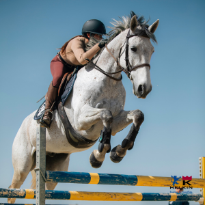 EQUITAZIONE